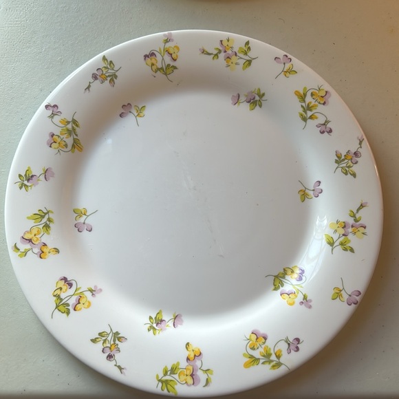 Martha Stewart Everyday 10.5” Vitrelle Floral Set of 2 Plates - Picture 2 of 5